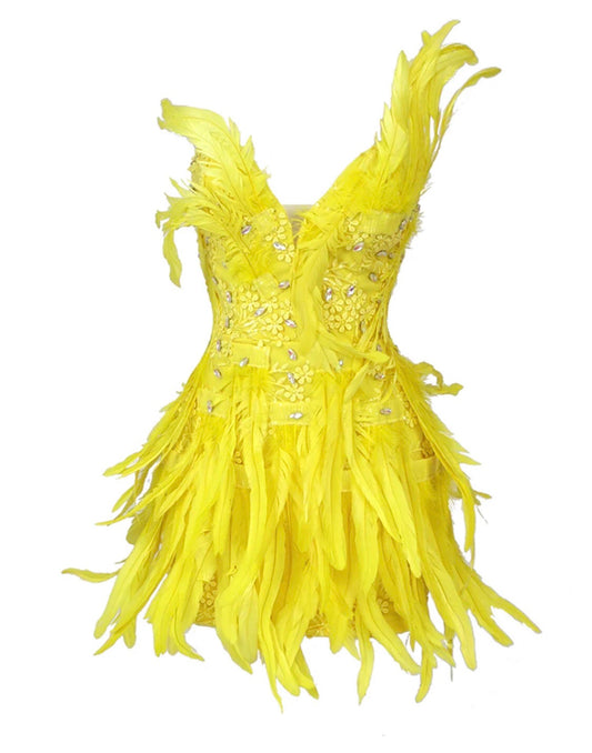 Crystal Feathers Mini Dress