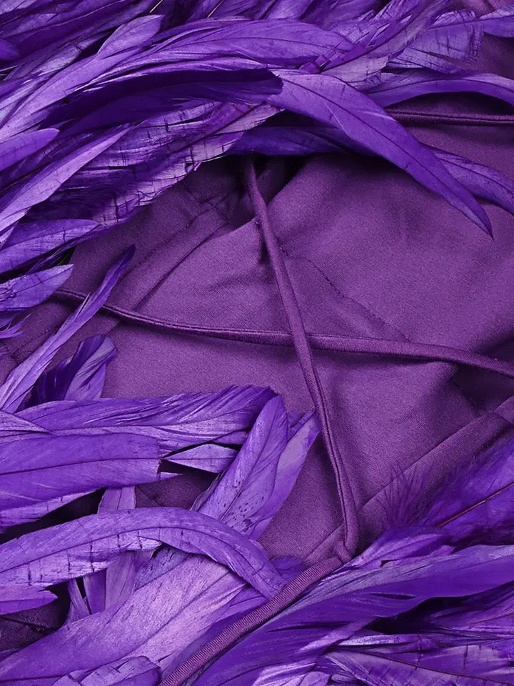 Cutout Feathers Mini Dress