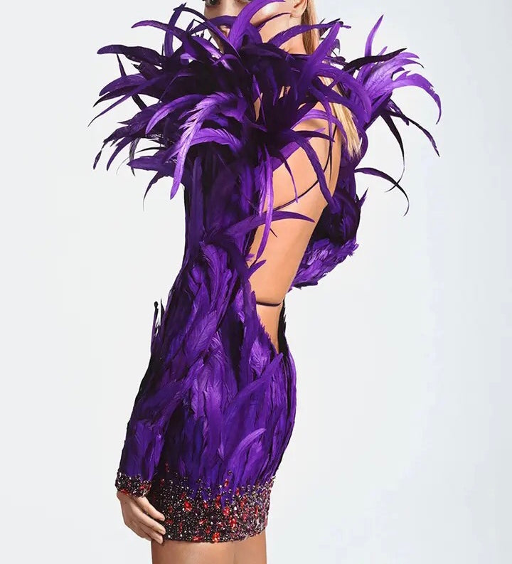 Cutout Feathers Mini Dress